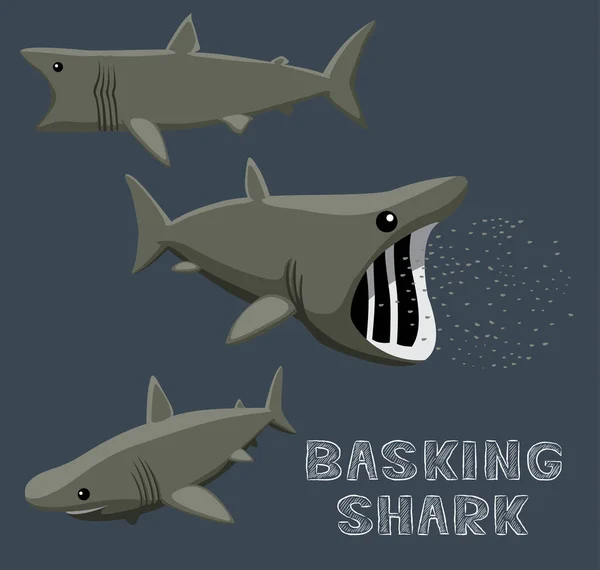 Basking Shark Cartoon Vector Illustratie — Stockvector