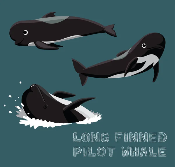 Long Finned Pilot Whale การ นเวกเตอร ภาพประกอบ — ภาพเวกเตอร์สต็อก