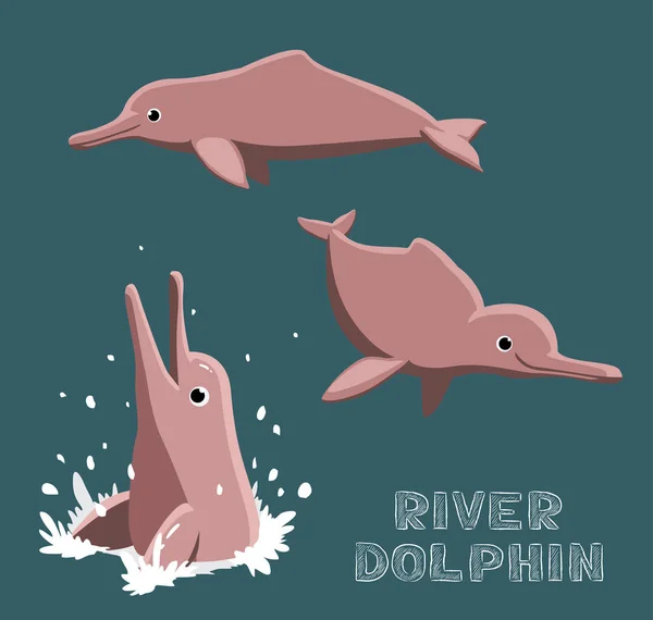 River Dolphin การ นเวกเตอร ภาพประกอบ — ภาพเวกเตอร์สต็อก