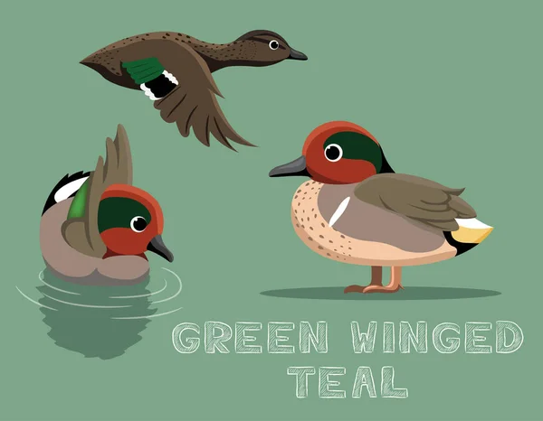 Green Winged Tal Cartoon Vector Illustration — стоковый вектор