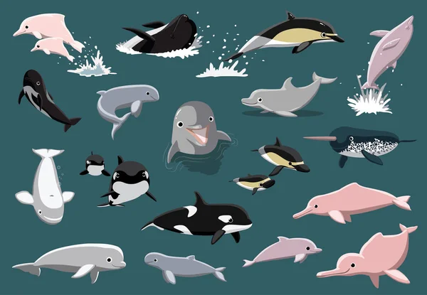 Illustrazione Del Vettore Del Fumetto Dei Vari Delfini — Vettoriale Stock