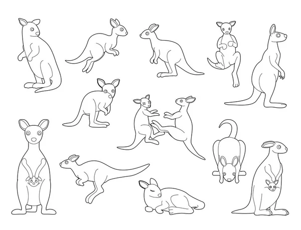 Kangaroo Black White Coloring Cartoon Vector Illustration — стоковий вектор