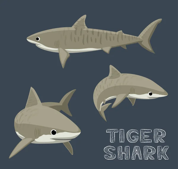 Tiger Shark Cartoon Vector Ilustração —  Vetores de Stock