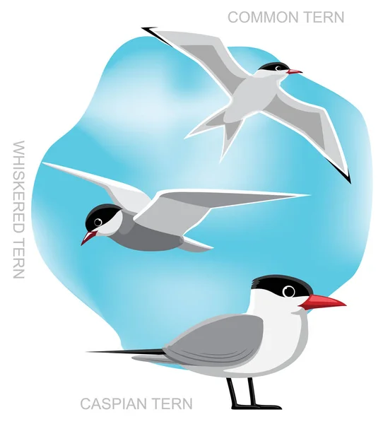Bird Tern Set Tecknad Vektor Illustration — Stock vektor