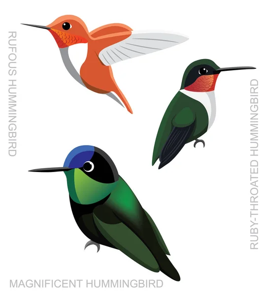 Bird Hummingbird Set Cartoon Vector Ilustração —  Vetores de Stock