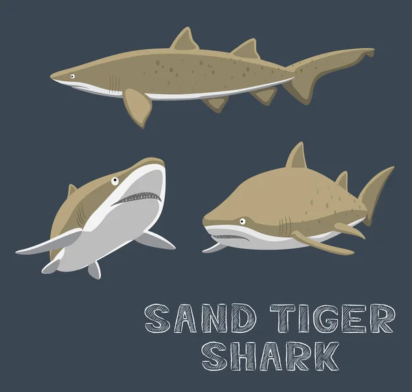 Sand Tiger Shark การ นเวกเตอร ภาพประกอบ — ภาพเวกเตอร์สต็อก