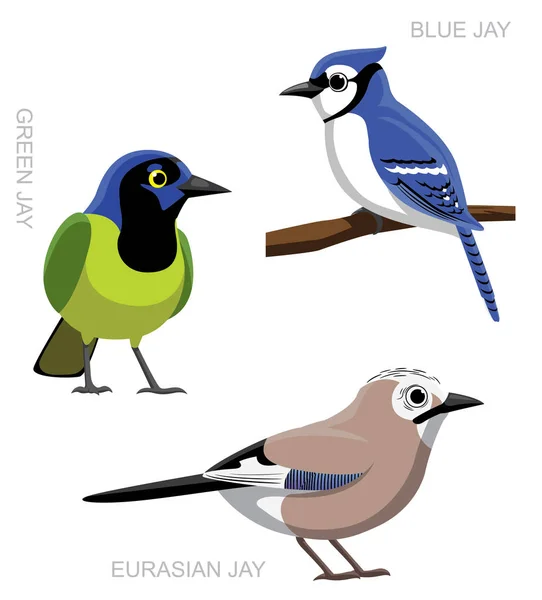 Uccello Jay Set Cartone Animato Vettoriale Illustrazione — Vettoriale Stock
