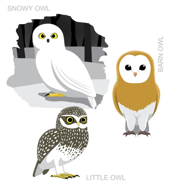 Conjunto Aves Coruja Cartoon Vector Ilustração — Vetor de Stock