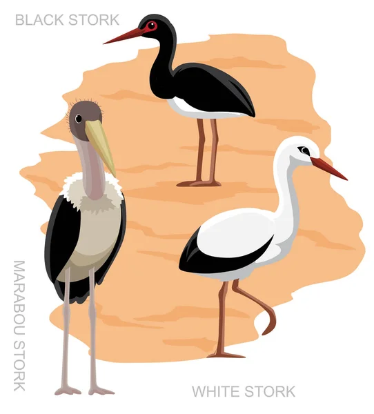 Bird Stork Set Cartoon Vector Ilustração — Vetor de Stock