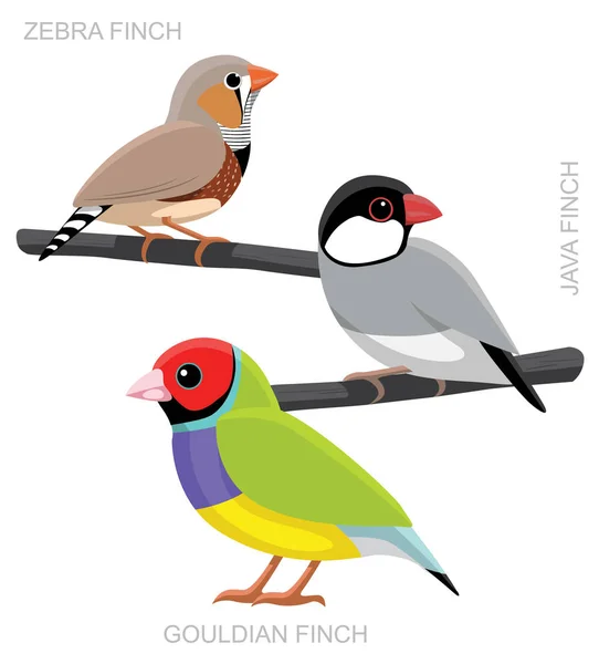 Vogelvink Set Cartoon Vector Illustratie — Stockvector