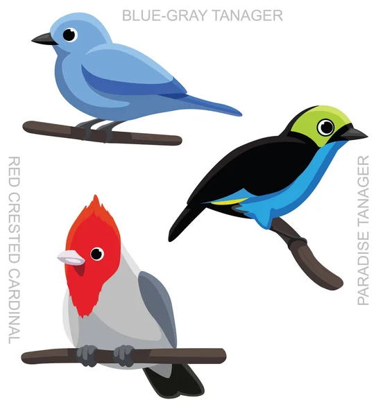 Bird Tanager Cardinal Set การ นเวกเตอร ภาพ — ภาพเวกเตอร์สต็อก