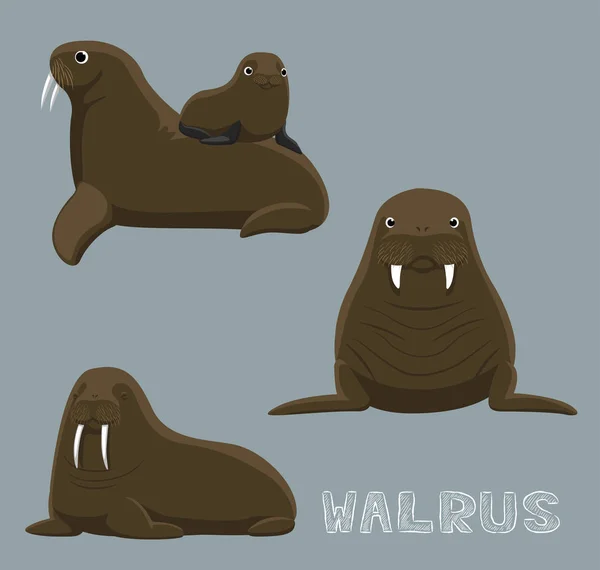 Walrus Cartoon Vector Ilustração — Vetor de Stock