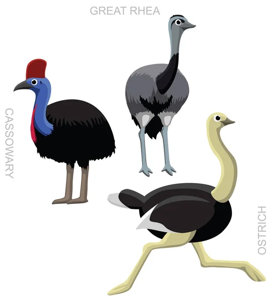 Bird Ostrich Set Cartoon Vector Illustration — 스톡 벡터