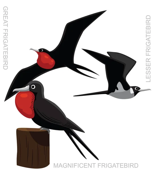 Pájaro Fragata Conjunto Dibujos Animados Vector Ilustración — Archivo Imágenes Vectoriales