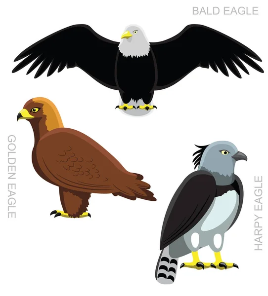 Bird Eagle Set Cartoon Vector Ilustração — Vetor de Stock