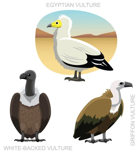 Bird Old World Abutre Set Cartoon Vector Ilustração — Vetor de Stock