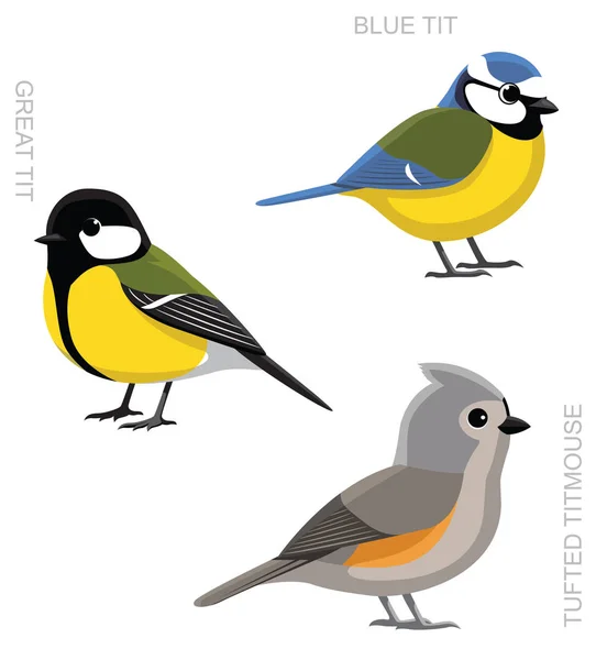 Bird Tit Set Cartoon Vector Ilustração —  Vetores de Stock