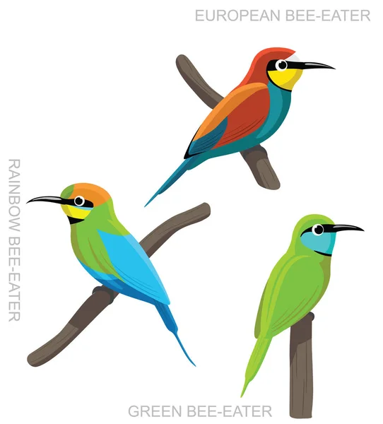 Bird Bee Eater Set Cartoon Vector Ilustração —  Vetores de Stock