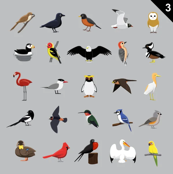 Various Birds Cartoon Vector Illustration — 스톡 벡터