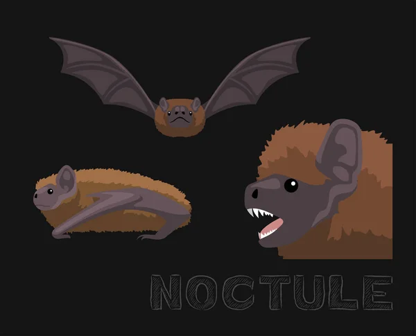Bat Noctule Illustration Dessin Animé Mignon — Image vectorielle