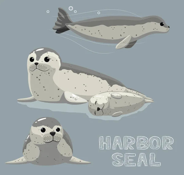 Harbor Seal Cartoon Vector Illustration — 스톡 벡터