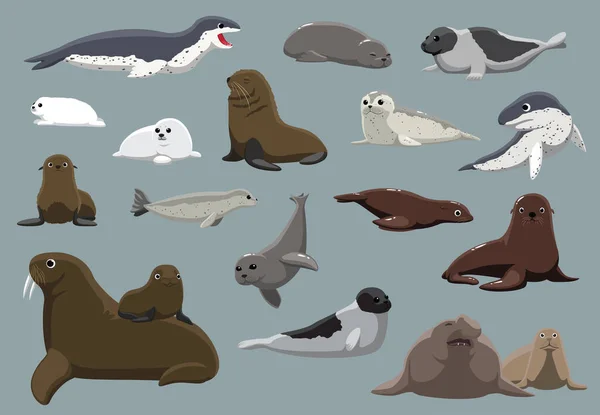 Various Seals Set Cartoon Vector Illustration — Stock Vector