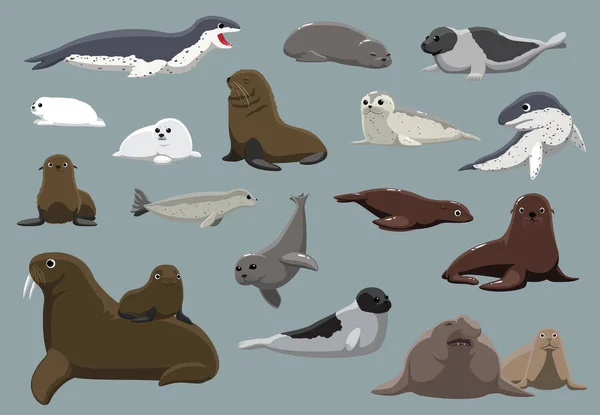 Sea lion Vector Art Stock Images | Depositphotos Sea lion Vector Art Stock Images | Depositphotos