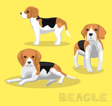 Köpek Beagle Çizgi Film Vektör İllüstrasyonu