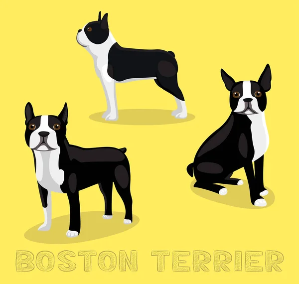 Dog Boston Terrier Cartoon Vector Ilustração — Vetor de Stock