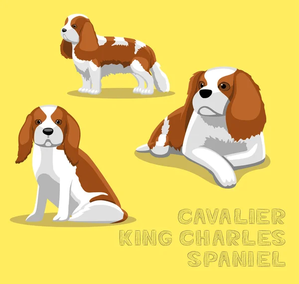 Dog Cavalier King Charles Spaniel Cartoon Vector Illustration — Stockový vektor