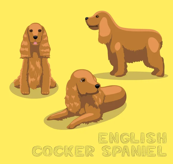 Dog English Cocker Spaniel การ นเวกเตอร ภาพประกอบ — ภาพเวกเตอร์สต็อก