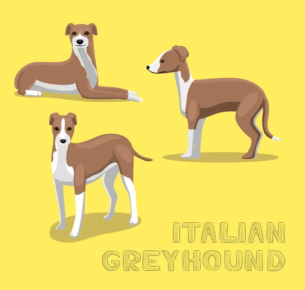 Dog ตาล Greyhound การ นเวกเตอร ภาพประกอบ — ภาพเวกเตอร์สต็อก