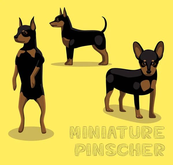 Miniatura Psa Pinscher Wektor Ilustracji Kreskówki — Wektor stockowy
