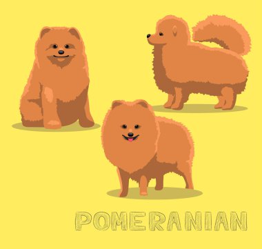Köpek Pomeranya Çizgi Filmi Vektör İllüstrasyonu