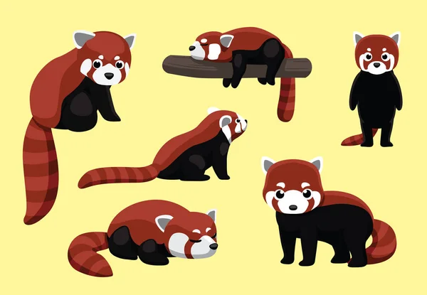 Red Panda Poses Cartoon Vector Illustration — Stock Vector