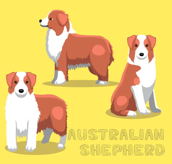 Pes Australian Shepherd Cartoon Vector Illustration — Stockový vektor