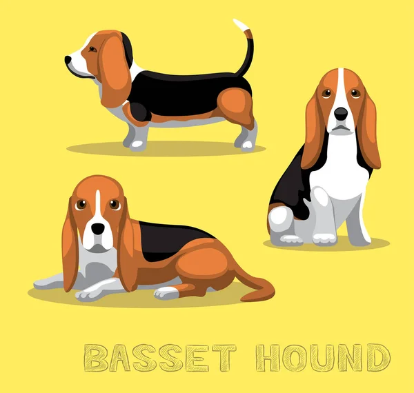 Dog Basset Hound การ นเวกเตอร ภาพประกอบ — ภาพเวกเตอร์สต็อก