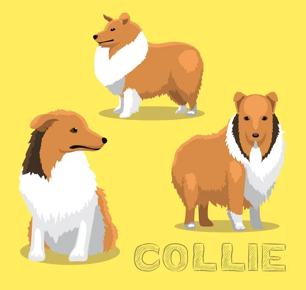 Dog Collie การ นเวกเตอร ภาพประกอบ — ภาพเวกเตอร์สต็อก