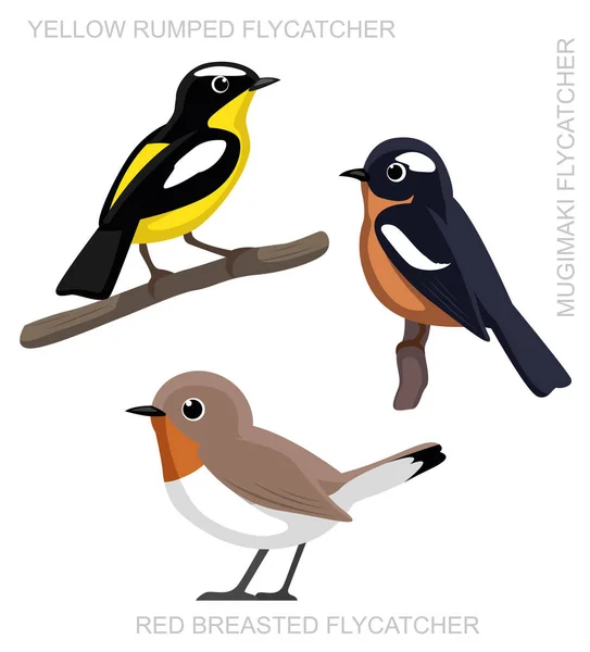 Bird Flycatcher Set Cartoon Vector Ilustração —  Vetores de Stock