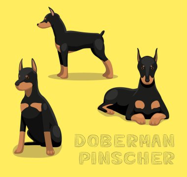 Köpek Doberman Pinscher Çizgi Film Vektör İllüzyonu