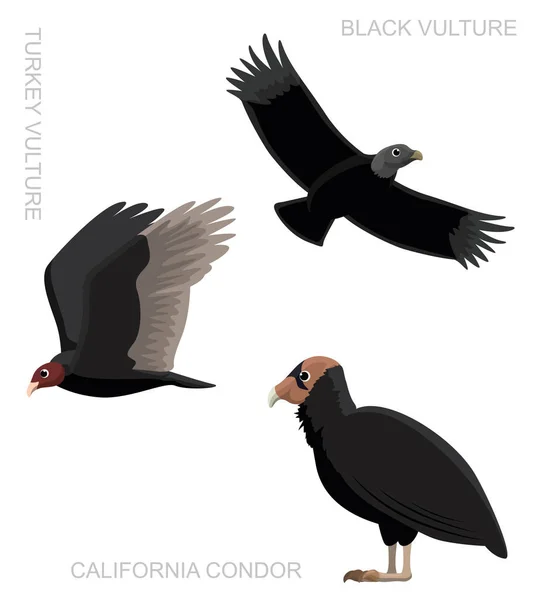 Illustration Vectorielle Bande Dessinée New World Vulture Oiseau — Image vectorielle