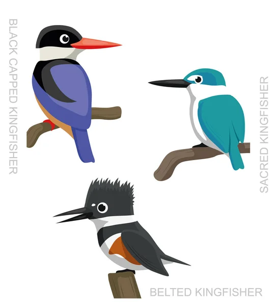 Bird Kingfisher Set Cartoon Vector Illustration — стоковий вектор