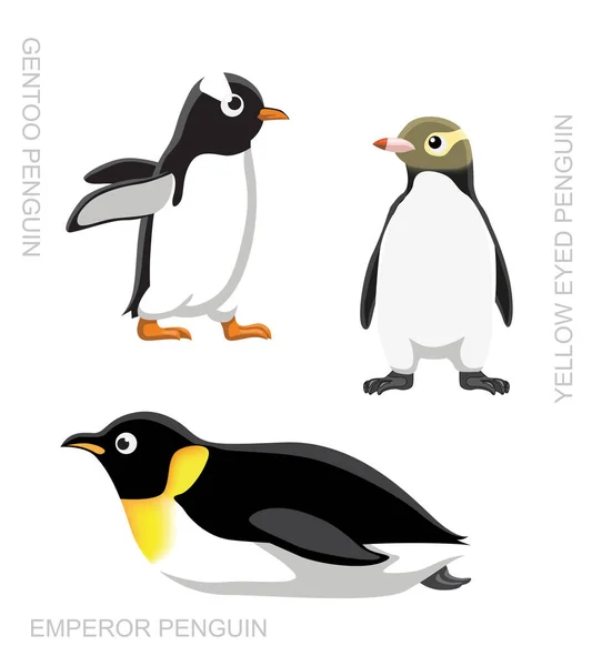 Vogelpinguin Set Cartoon Vector Illustration — Stockvektor