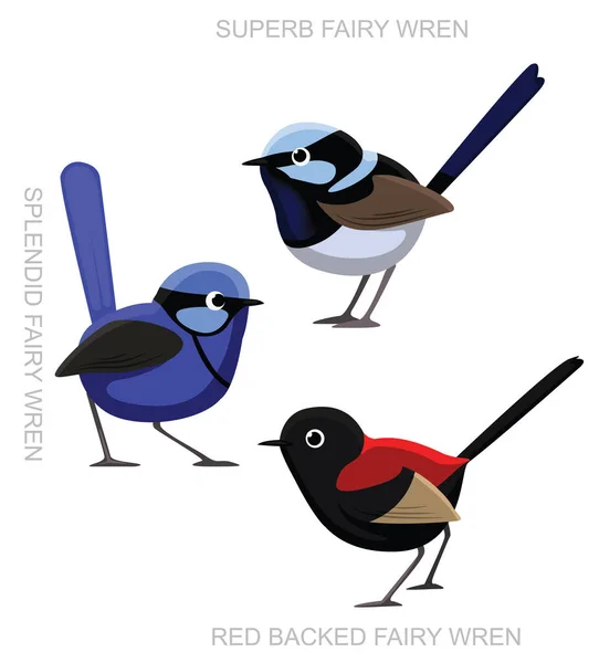 Illustration Vectorielle Dessin Animé Fairy Wren Set Oiseaux — Image vectorielle