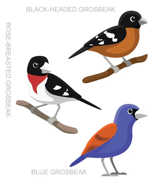Pájaro Grosbeak Set Dibujos Animados Vector Ilustración — Archivo Imágenes Vectoriales