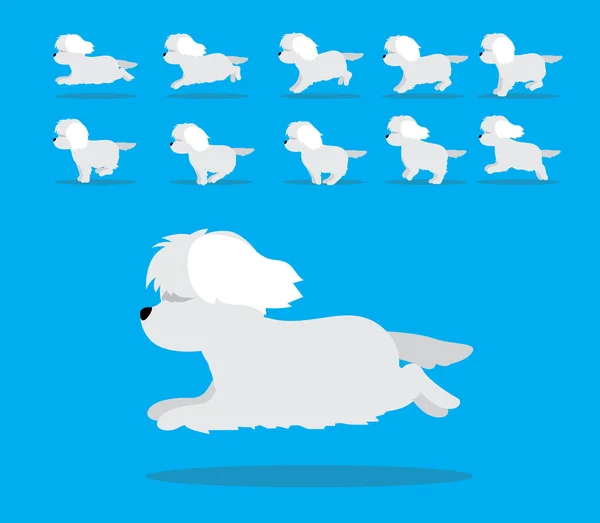 Animal Animation Sequence Dog Maltese Cartoon Vector — стоковый вектор