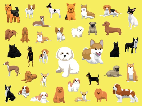 Разнообразные Мелкие Породы Собак — стоковый вектор