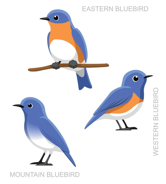 Ensemble Oiseau Bluebird Illustration Vectorielle Bande Dessinée — Image vectorielle