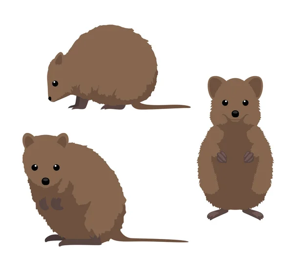 Australian Animal Quokka Cartoon Vector Illustration — 스톡 벡터
