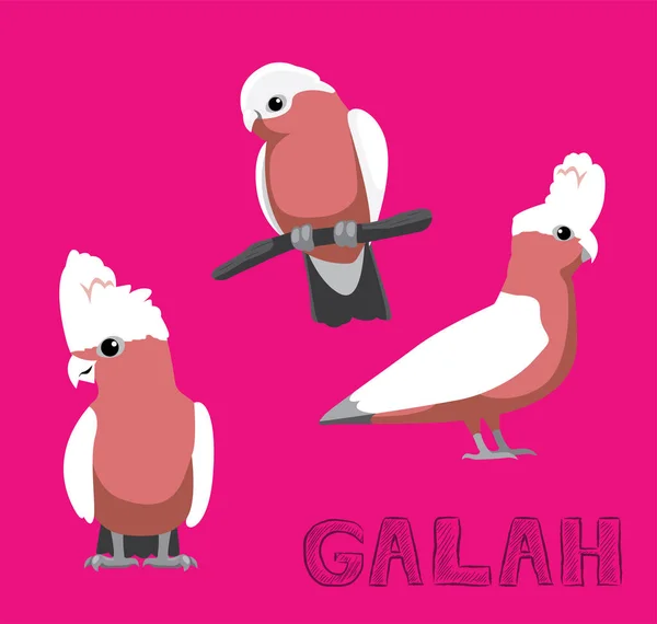 Parrot Bird Cute Galah Cartoon — стоковый вектор